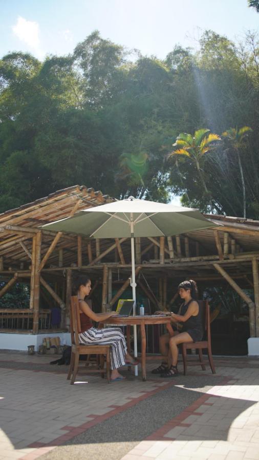 Finca La Argelia Quimbaya Exterior foto