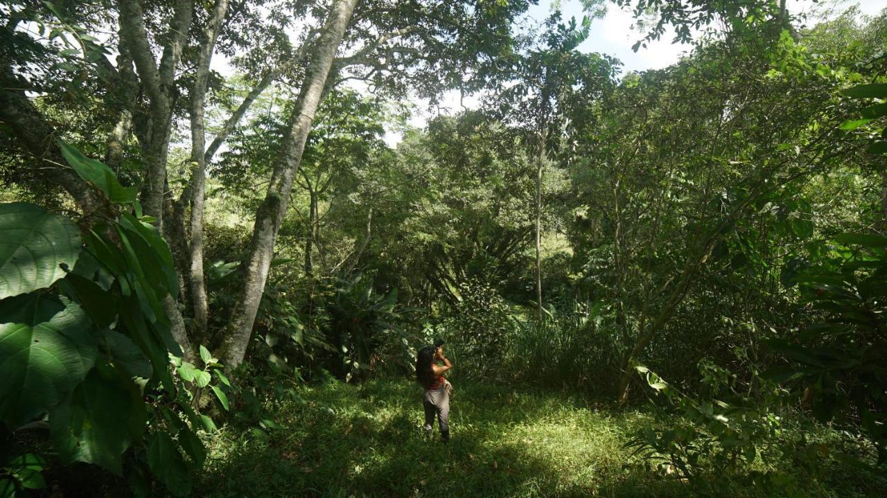 Finca La Argelia Quimbaya Exterior foto