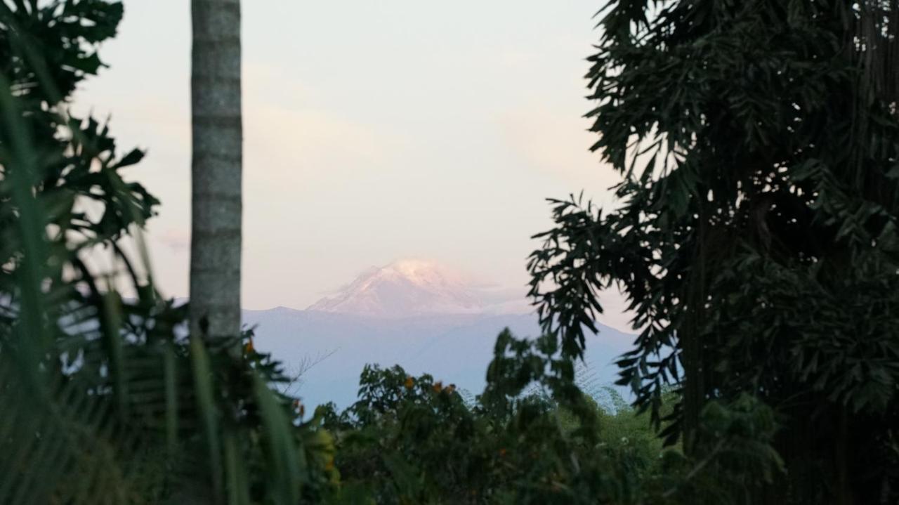 Finca La Argelia Quimbaya Exterior foto